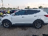 5XYZU3LB7HG****** Repairable 2017 Hyundai Santa Fe in Texas State