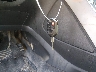 1FMCU0GX2EU****** Salvage 2014 Ford Escape in Mississippi State