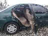JHMES15521S****** Wrecked 2001 Honda Civic in IAA Puyallup
