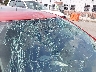 2T1BU4EE5AC****** Salvamento y Reparables 2010 Toyota Corolla en Estado de Carolina del Norte