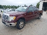 1FTFW1EV5AF****** Salvage and Wrecked 2010 Ford F-150 in Manchester