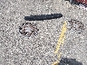 JTDKARFP6J3****** Destrozados 2018 Toyota Prius Prime en Estado de California