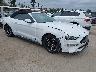 1FATP8UH7L5****** Salvamento y Destrozados 2020 Ford Mustang en Seattle
