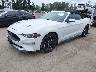 1FATP8UH7L5****** Usados y Reparables 2020 Ford Mustang en Seattle