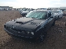 2B3LJ74W39H****** Used and Repairable 2009 Dodge Challenger in Phoenix
