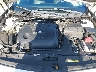 1N4AA6AP5HC****** Reparables 2017 Nissan Maxima en Orlando