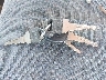 1GNDM19W3SB****** Salvage 1995 Chevrolet Astro in Texas State