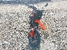 MD2J2J403SN****** Usados y Reparables 2025 KTM 690 en Estado de Maryland