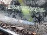 1G1YY2181K5****** Wrecked 1989 Chevrolet Corvette in Charlotte