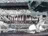 1GCEK14V24Z****** Usados 2004 Chevrolet Silverado 1500 en Hartford