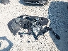 19UUB1F35JA****** Destrozados 2018 Acura TLX en Estado de Ohio