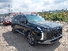 KM8R5DGE3RU****** Salvage and Wrecked 2024 Hyundai Palisade in Pittsburgh