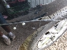 5N1AL0MN5DC****** Wrecked 2013 Infiniti JX35 in Louisiana State