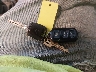JTEBU14R260****** Salvamento 2006 Toyota 4Runner en Estado de Nueva York