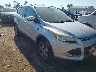 1FMCU9J92EU****** Salvamento y Destrozados 2014 Ford Escape en Cincinnati