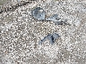 KMHD74LFXHU****** Destrozados 2017 Hyundai Elantra en Estado de Maryland
