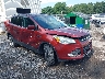 1FMCU9G96EU****** Salvage and Wrecked 2014 Ford Escape in Albany