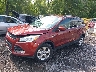 1FMCU9G96EU****** Used and Repairable 2014 Ford Escape in Albany