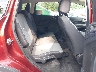 1FMCU9G96EU****** Wrecked 2014 Ford Escape in Albany
