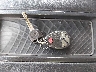 3GCRKSE35AG****** Salvage 2010 Chevrolet Silverado 1500 in Virginia State