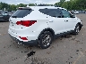 5NMZUDLB1HH****** Salvage and Wrecked 2017 Hyundai Santa Fe in Connecticut State