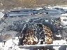 JTEZU17R440****** Repairable 2004 Toyota 4Runner in Orlando North
