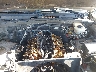 JTEZU17R440****** Wrecked 2004 Toyota 4Runner in Florida State