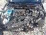 3KPA24AD7PE****** Reparables 2023 Kia Rio en IAA Puyallup