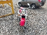 JS1VS55A652****** Usados y Reparables 2005 Suzuki C50 en Estado de Pennsylvania