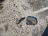 1B7GL22X2YS****** Wrecked 2000 Dodge Dakota in Tennessee State