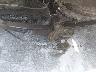 1B7GL22X2YS****** Salvage and Repairable 2000 Dodge Dakota in Tennessee State
