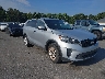 5XYPGDA50LG****** Salvamento y Destrozados 2020 Kia Sorento en Lake City