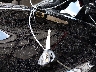 JS1EJ11B0S7****** Salvamento 2025 Suzuki Gsx1300 en Estado de Iowa