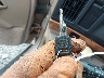 1G4HR52L6SH****** Salvage 1995 Buick LeSabre in Georgia State