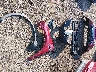 1FMCU9H91DU****** Wrecked 2013 Ford Escape in Ohio State