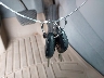 5UXFB33592L****** Salvamento 2002 BMW X5 en Estado de California