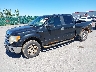 1FTFW1EF1DF****** Used and Repairable 2013 Ford F-150 in Rochester