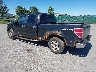1FTFW1EF1DF****** Salvage and Repairable 2013 Ford F-150 in Rochester