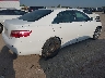 4T1BE46K07U****** Salvage and Wrecked 2007 Toyota Camry in Texas State