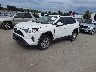 JTMP1RFV8KD****** Usados y Reparables 2019 Toyota RAV4 en Manchester