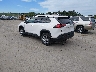 JTMP1RFV8KD****** Salvamento y Reparables 2019 Toyota RAV4 en Manchester