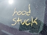 5TEUU4ENXAZ****** Repairable 2010 Toyota Tacoma in Taunton