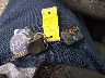 1FAHP3CN4AW****** Salvage 2010 Ford Focus in Pennsylvania State