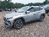 KM8JBDD14SU****** Used and Repairable 2025 Hyundai Tucson Hybrid in Greenville