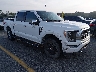 1FTFW1E83MF****** Salvage and Wrecked 2021 Ford F-150 in Lexington