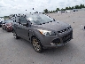1FMCU0J99EU****** Salvage and Wrecked 2014 Ford Escape in Houston South