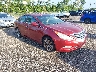 5NPEC4AC6BH****** Salvage and Wrecked 2011 Hyundai Sonata in Jacksonville