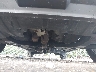 5N1DR2MM6KC****** Reparables 2019 Nissan Pathfinder