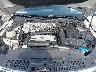 WVGAV7AX2BW****** Reparables 2011 Volkswagen Tiguan en Culpeper
