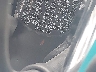 ML5EXGG14SD****** Repairable 2025 Kawasaki EX500 in Rec Rides Online Exclusive